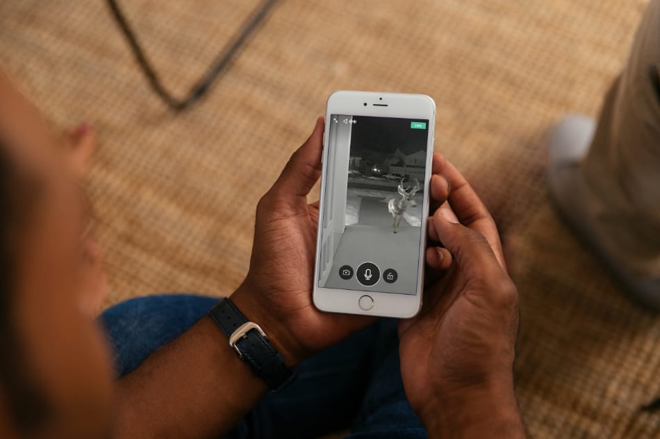 Fowlerville MI security system